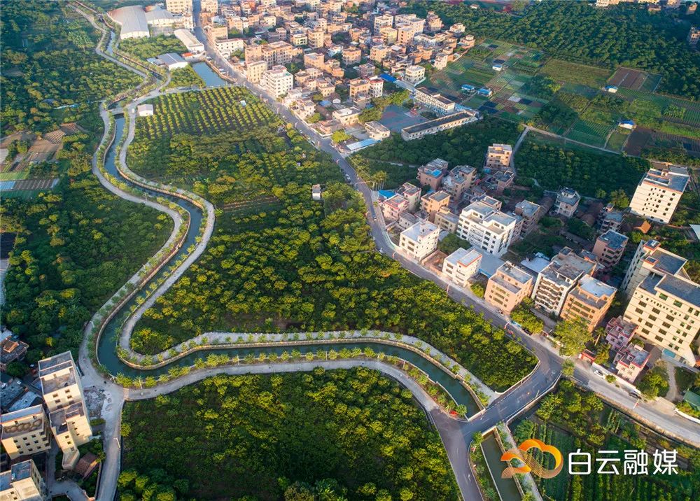 钟落潭镇雄伟村村道▲石门街鸦岗村绿荫大道▲江高镇罗溪村村跌