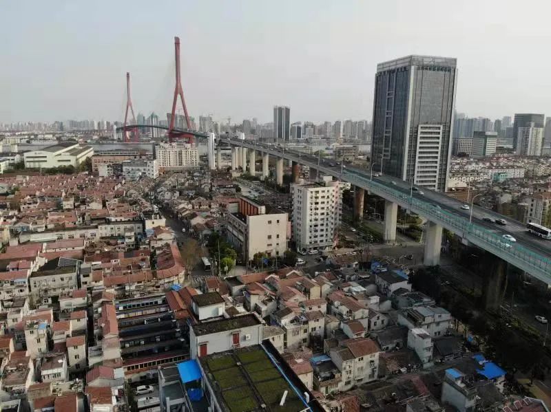 杨浦旧改征收又双叒提速征收户数创新高