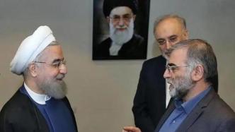 伊朗核科学家遭暗杀仍是谜局，谁搅动了这场中东乱局？