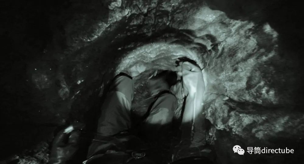 梦里梦外,蛇影追踪,一场心灵深处的探险 梦里梦外,蛇影追踪,一场心灵深处的探险