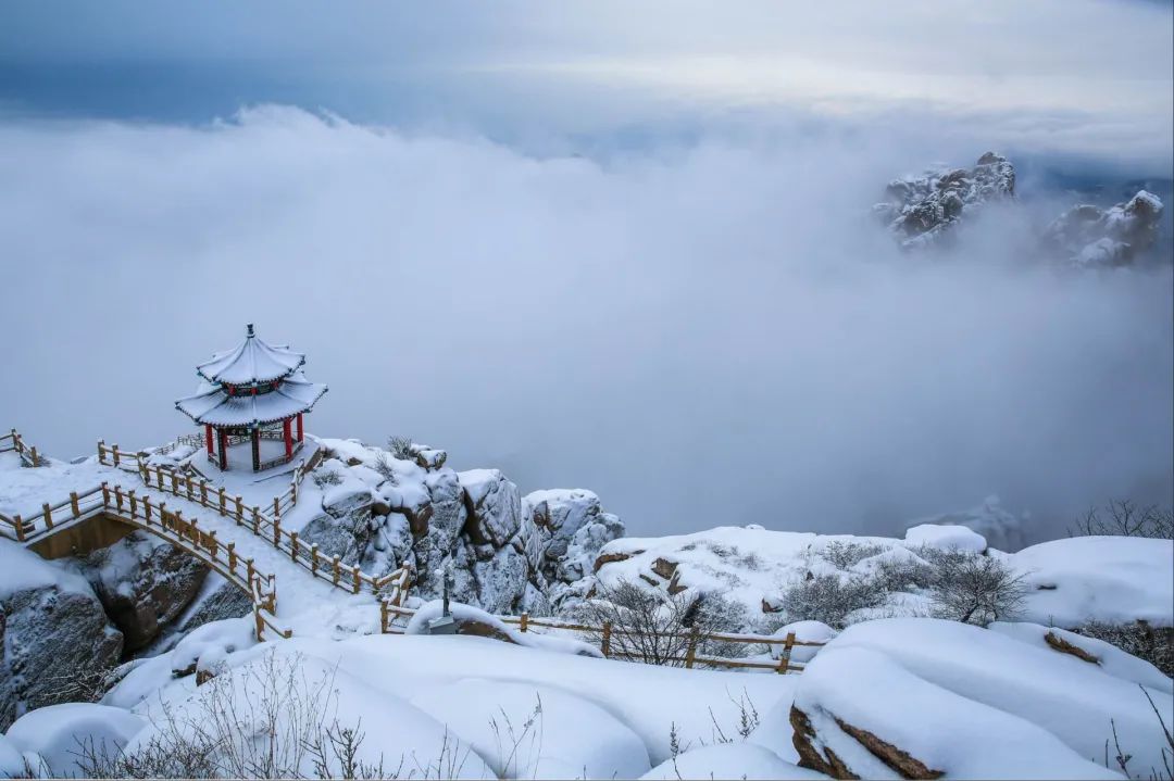 今日大雪雪纷飞仲冬始