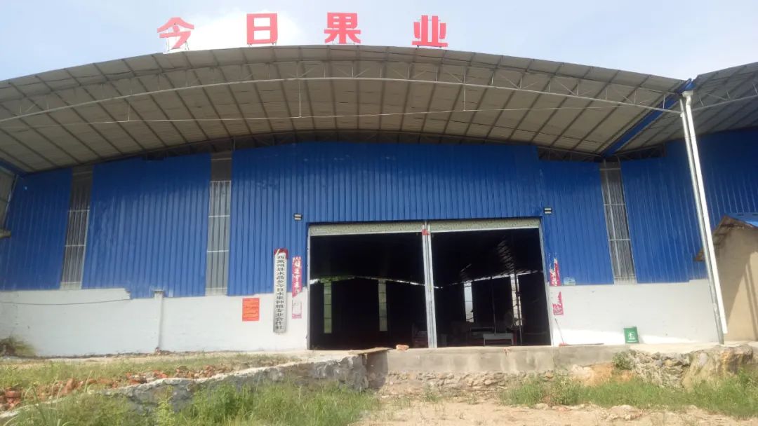 象州县水晶乡巧创四大模式发展壮大村集体经济共圆同步小康梦