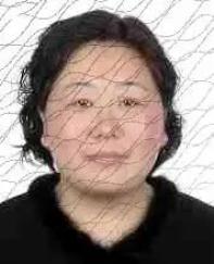 2020一季度南京各区g_2020南京禄口机场图片(3)