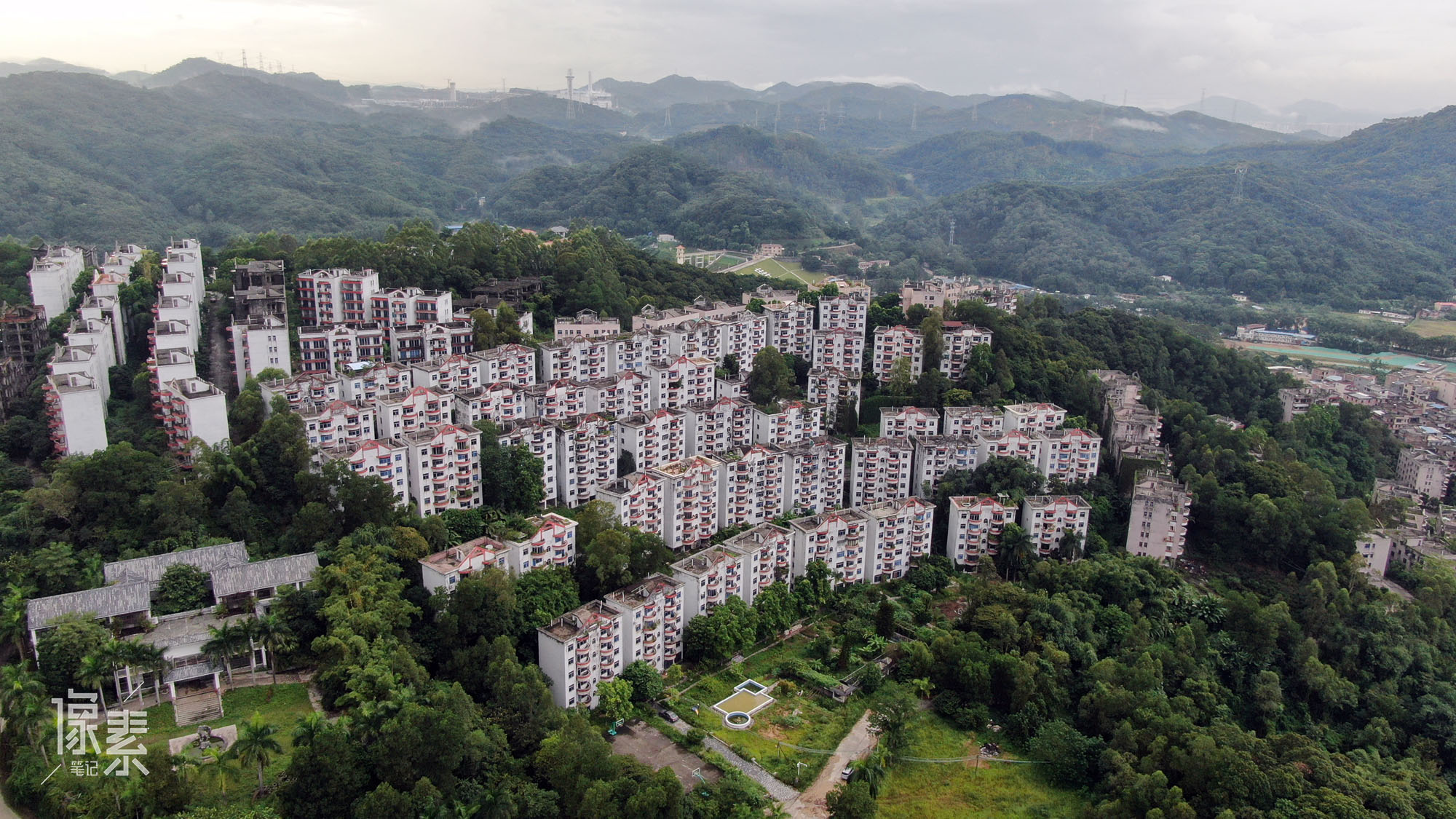 八旬北大毕业生独居山中烂尾楼 自己开荒种菜 路上常遇毒蛇 湃客 澎湃新闻 The Paper