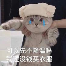 空气波怎么卖广东下雪了？！接下来还有四波冷空气！新会天气…_https://www.jmylbn.com_新闻资讯_第3张