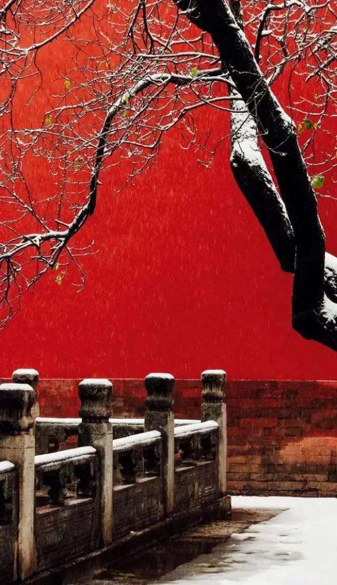 寒英昨宵天意聚回复,繁阴一布飘寒英.