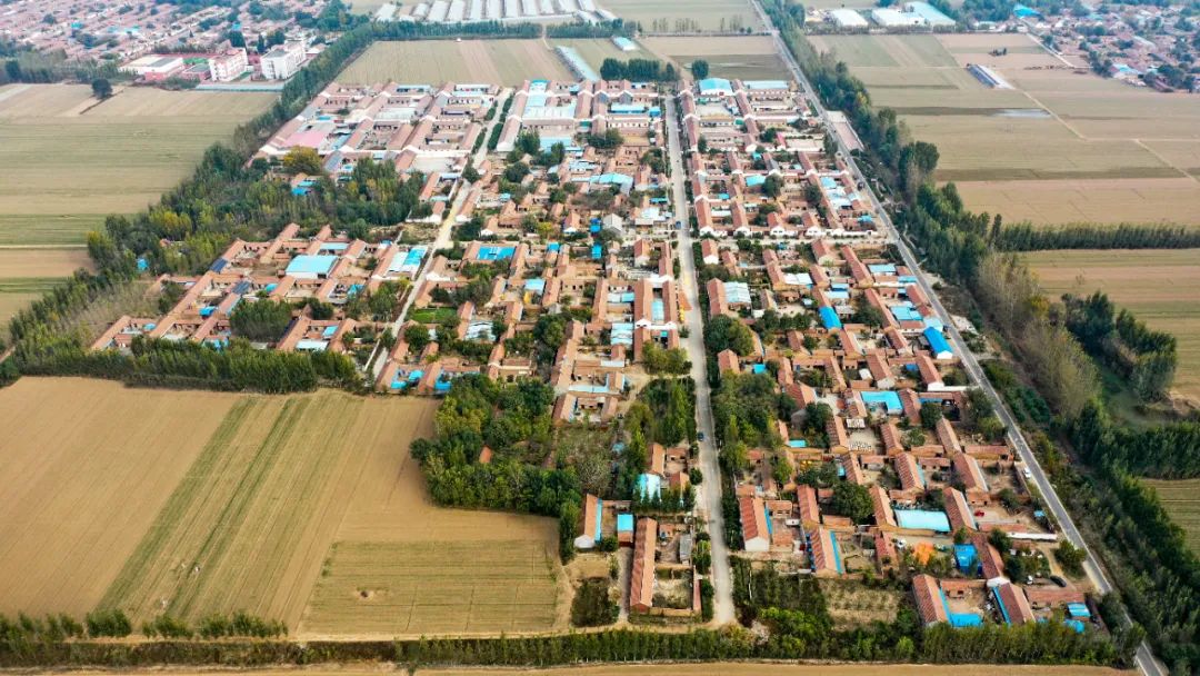 我家街巷最美系列展示德州市平原县恩城镇五里庄村