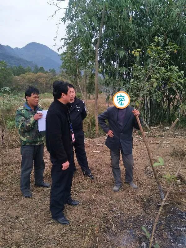 别再烧啦清远又有多人被抓获