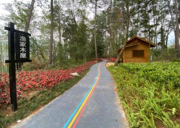 76公里丽水这个地方新添一条绝美绿道