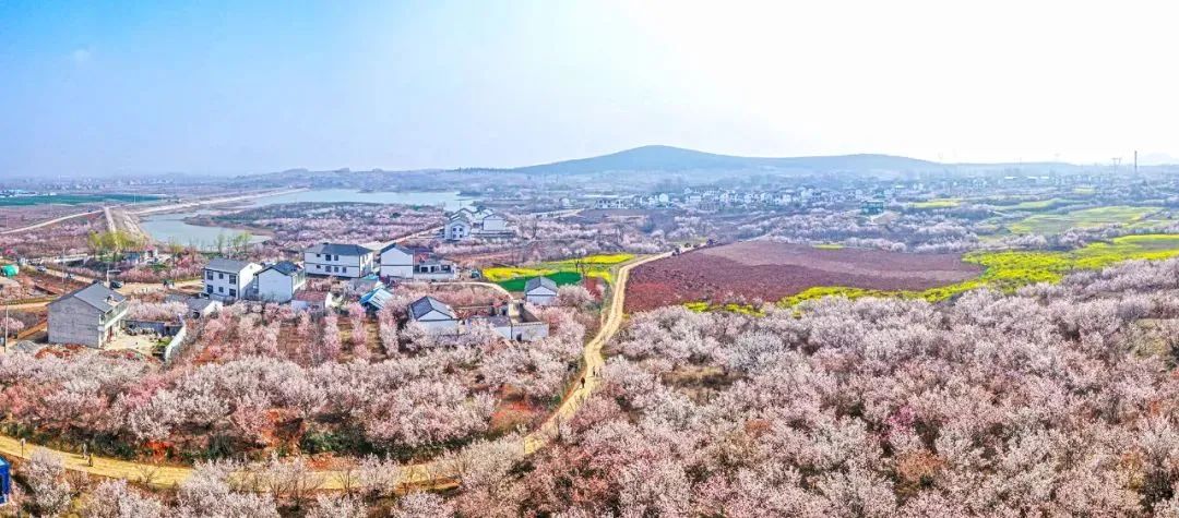 第一批江蘇省傳統村落名單 (徐州) 銅山區:柳泉鎮北村村塔山,張集鎮吳