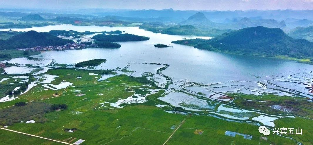 【绿水青山】广西来宾兴宾三利湖国家湿地公园:生态优良,美不胜收