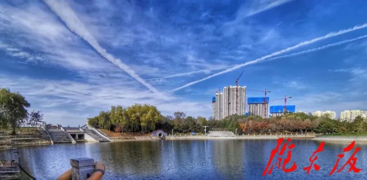 西峰南湖候鸟成群勾画冬日别样景致