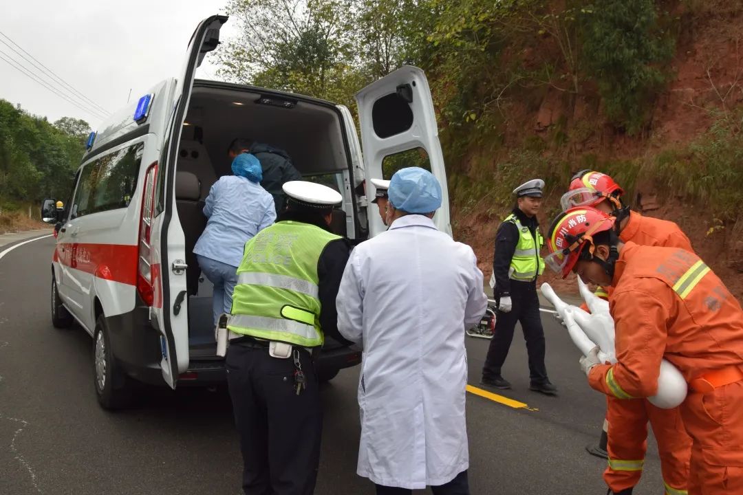 来了早知德阳事