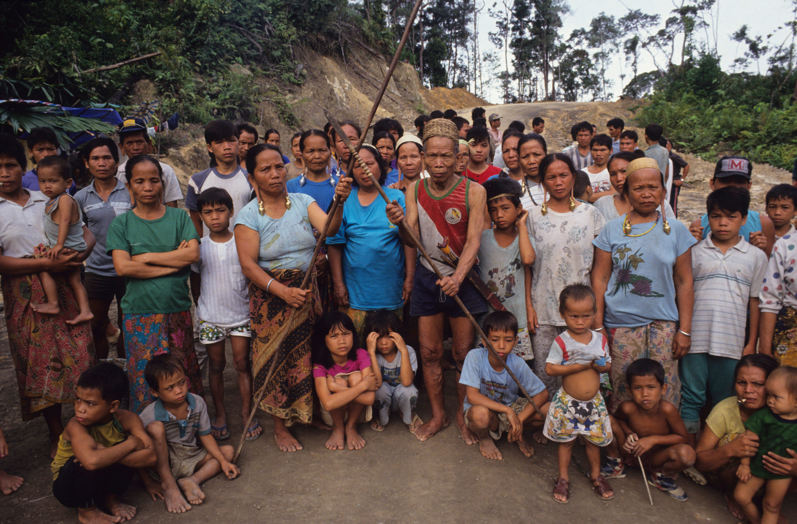 被彻底改变的林中生活棕榈油和东南亚土著居民