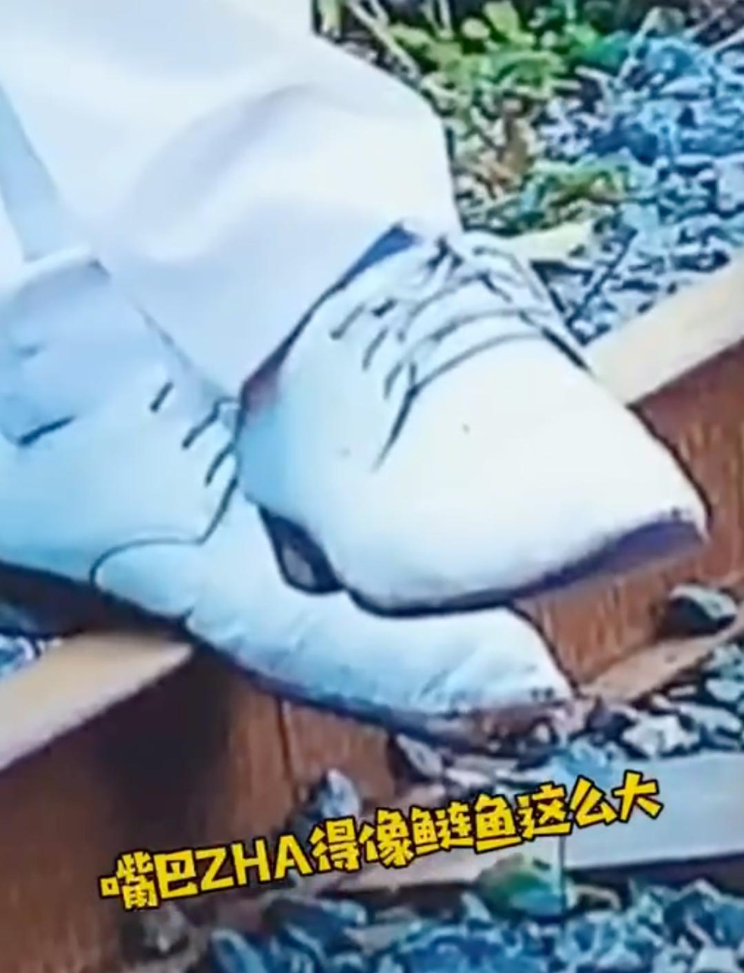 739.jpg