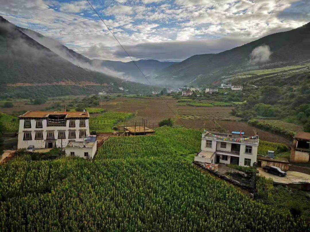 12020年定波乡成立了绒公村高山牦牛养殖专业合作社,并在县委,县政府