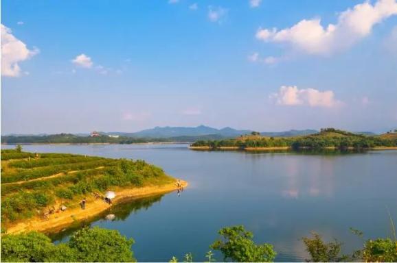 走我们去洪山吧