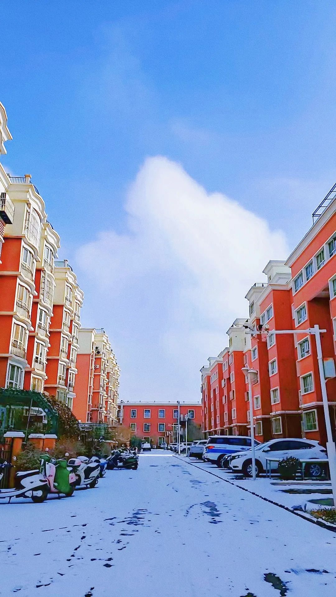 来源:县宣讲团 布早热古丽雪色玫瑰来源:上海援疆 李忠华来源:莎车镇