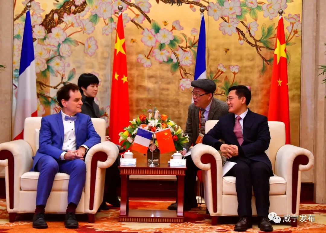 孟祥伟王远鹤会见来咸出席赤壁青砖茶产业发展大会的外宾