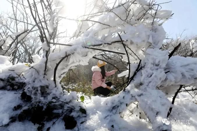 最低2℃！“速冻型”冷空气即将杀到，广西迎来断崖式降温！澎湃号·政务澎湃新闻 The Paper 4920