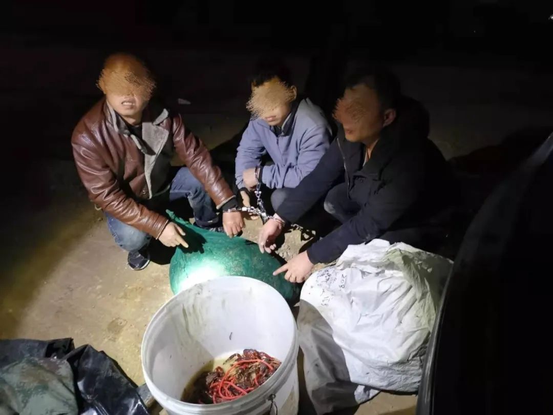 半夜石臼湖偷鱼抓