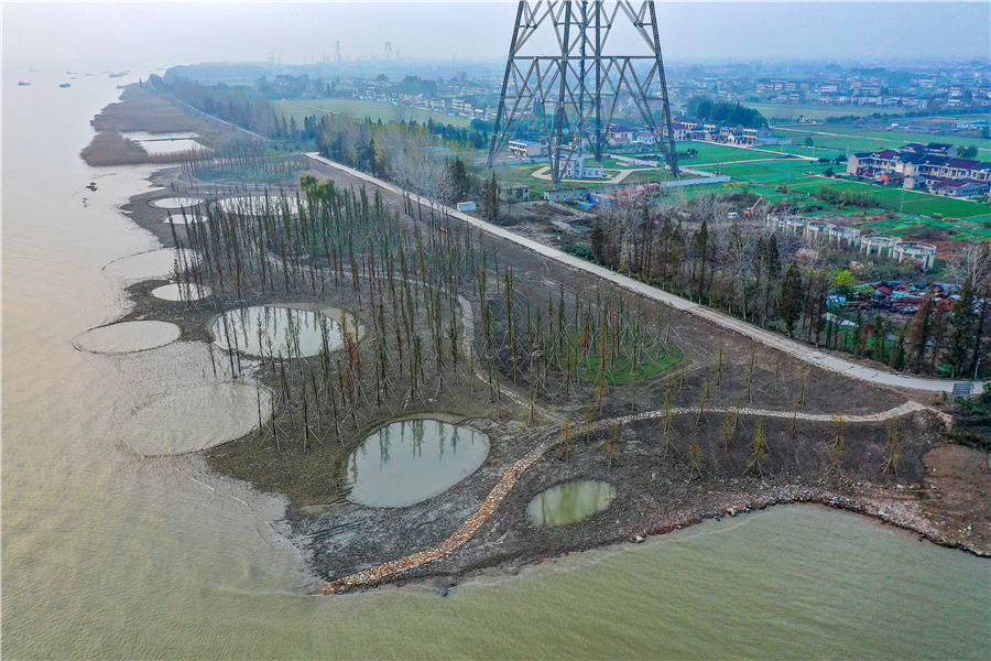 江苏靖江:再造 "水清岸绿,鱼翔浅底"生态风光