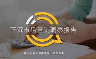 QuestMobile2020下沉市场营销洞察报告