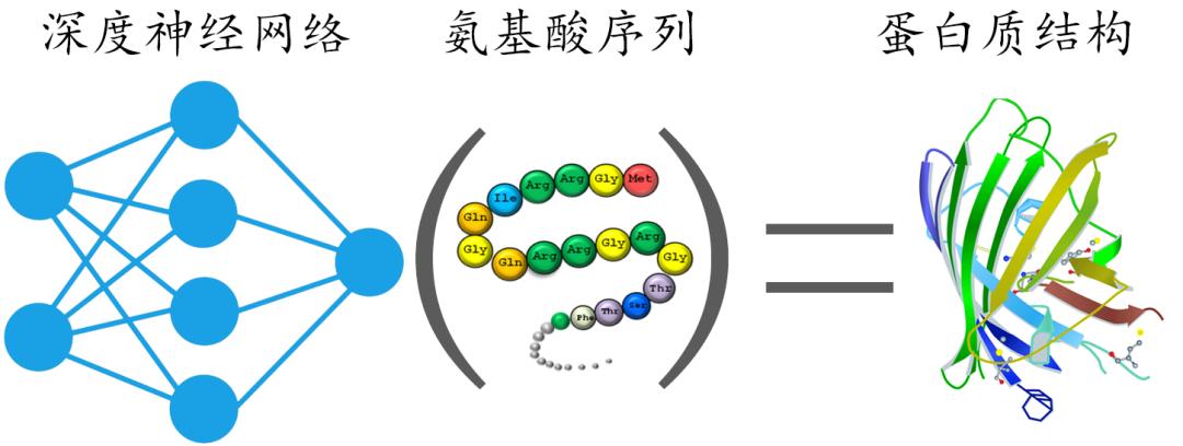 氨基酸序列图图片