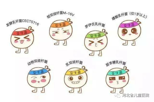 什么叫免疫耐受 888.jpg