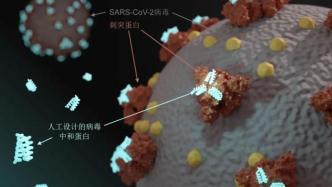 会预测蛋白结构的AI，还要教我们设计新蛋白