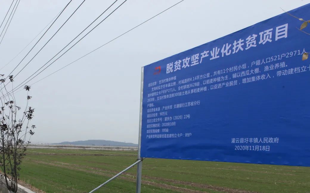 交通银行江苏省分行党委书记,行长林骅一行到扶贫点灌云县支沟村开展