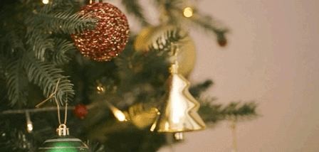 年快要结束了 她还在等一份礼物