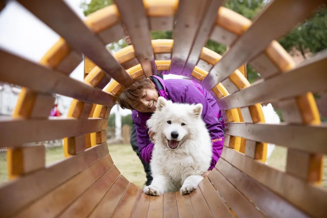 新寺村158亩的萌宠乐园你爱了吗再也不用担心毛孩子没地玩了