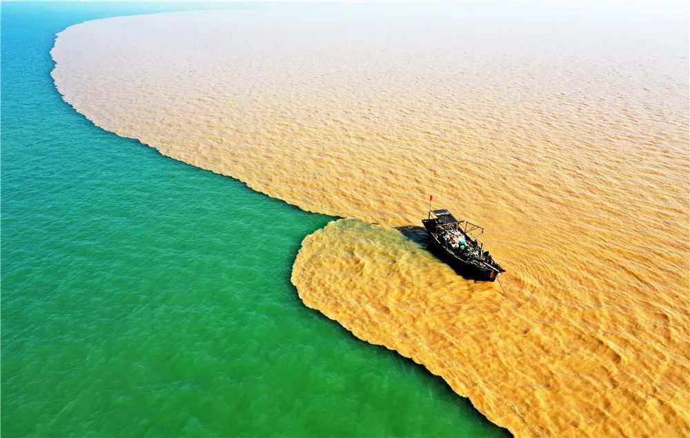 美丽中国61山东东营篇丨生态黄河口魅力新东营