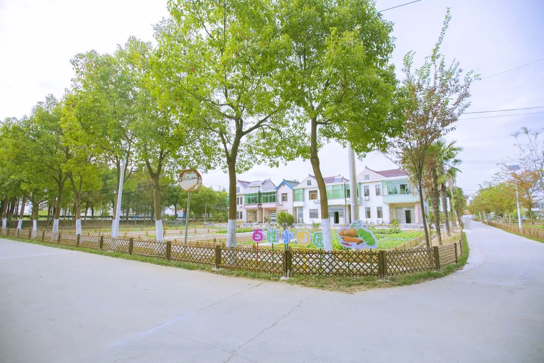 将菜地网格化看柘林镇新寺村田园风貌大变身