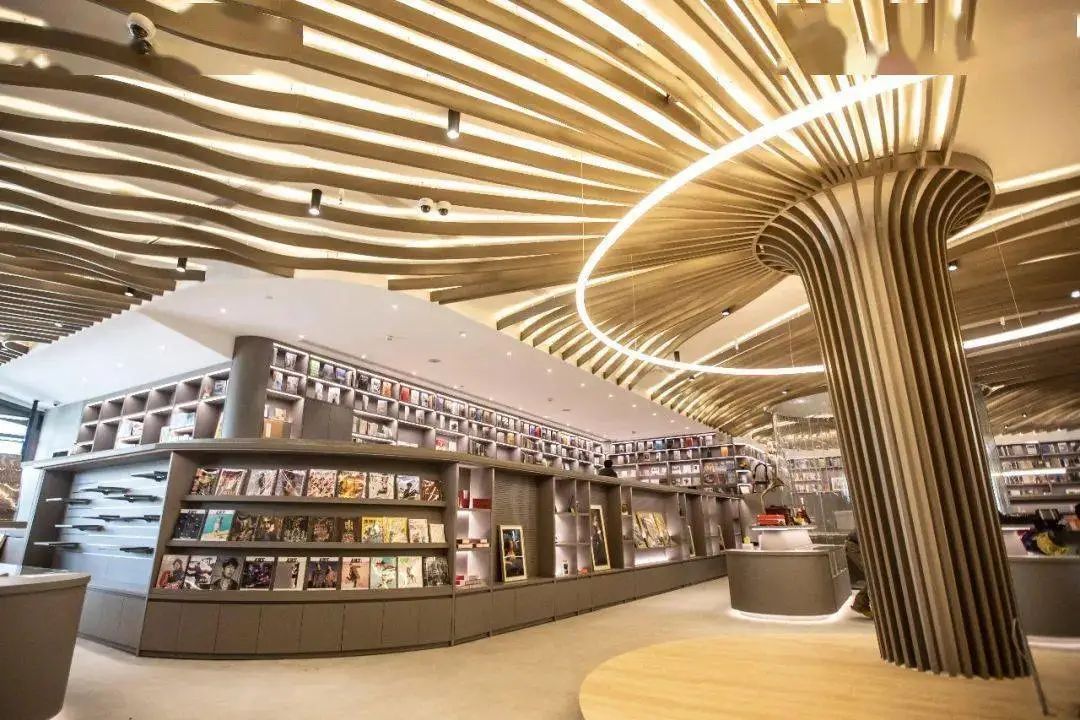 九棵树艺术书店今天正式开业网红小姐姐带你去探店