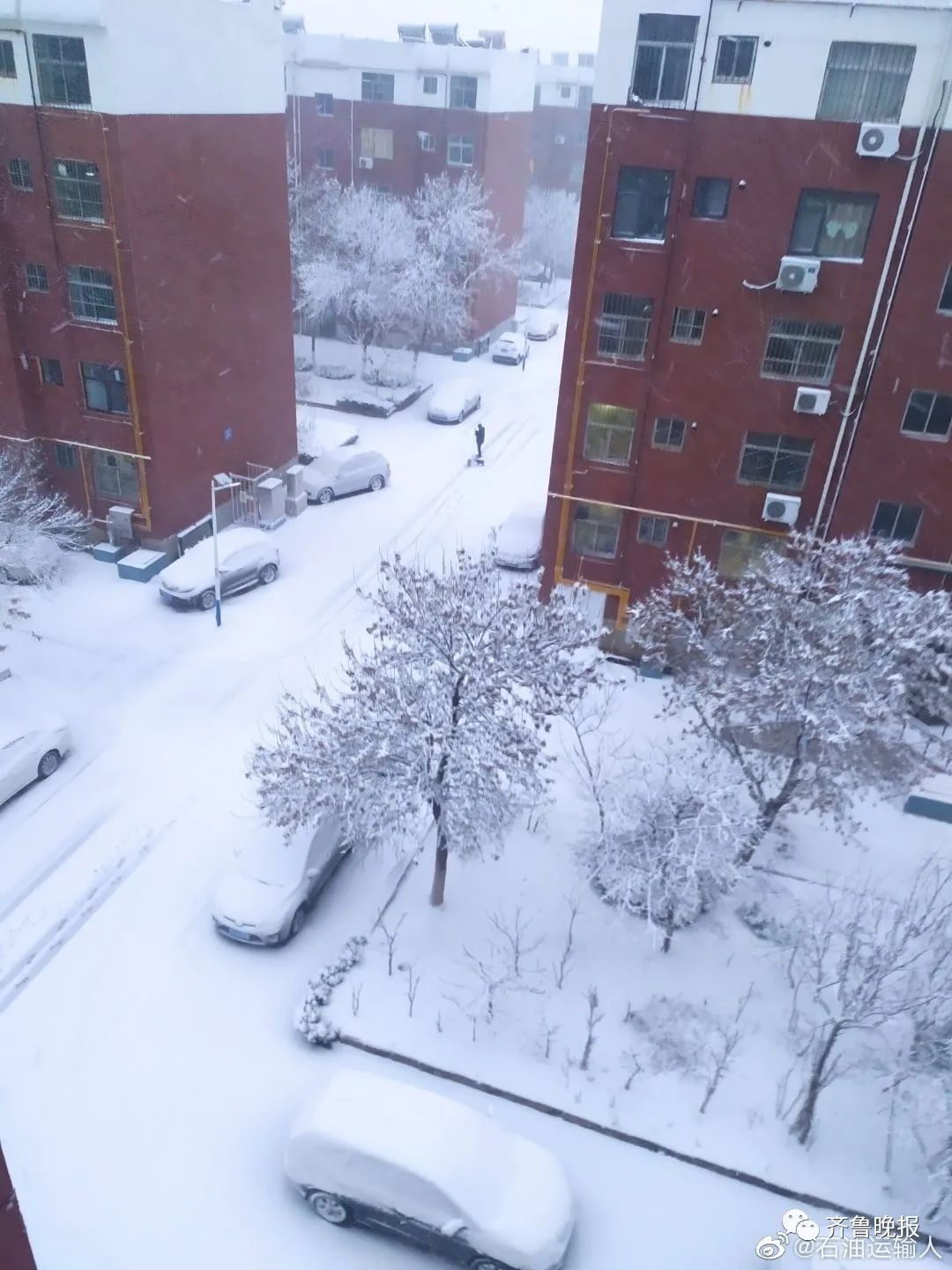 山东降雪刷屏济南这里大雪纷飞网友雪没看见先让风吹傻了