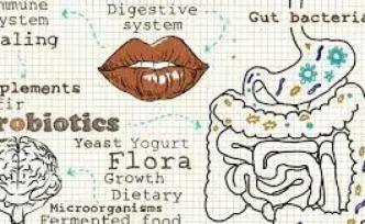 肠道菌群在脑功能和情绪调节中发挥重要作用