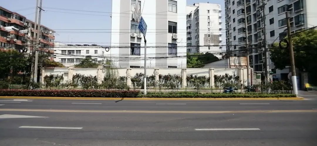 民星路至长海路围墙月季翔殷路中国银行墙体月季中原路顶头角市光路