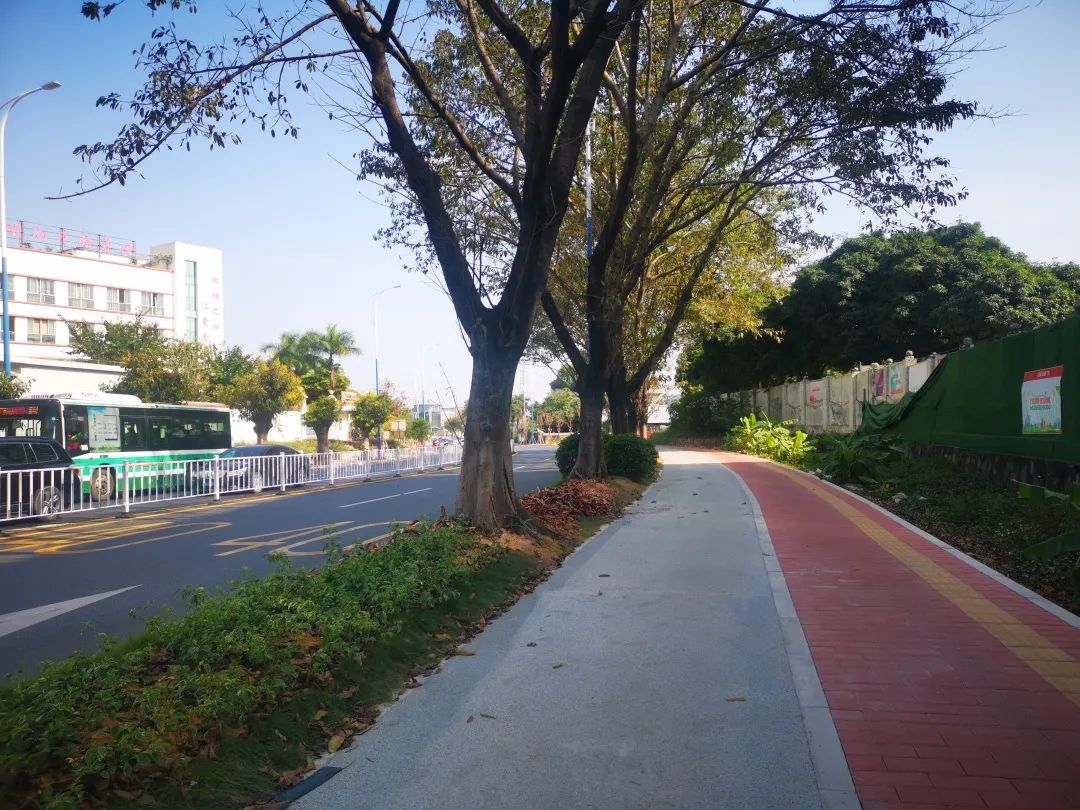 新增3公里长人行道番禺这段道路升级改造更便民