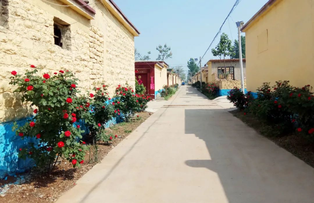 "我家街巷最美"系列展示 | 泰安市东平县接山镇前寨子村