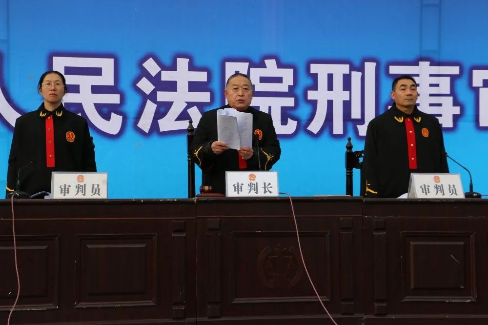 法院审理后认为,被告人陈某鹏系该组织的首要分子,应当按照其组织