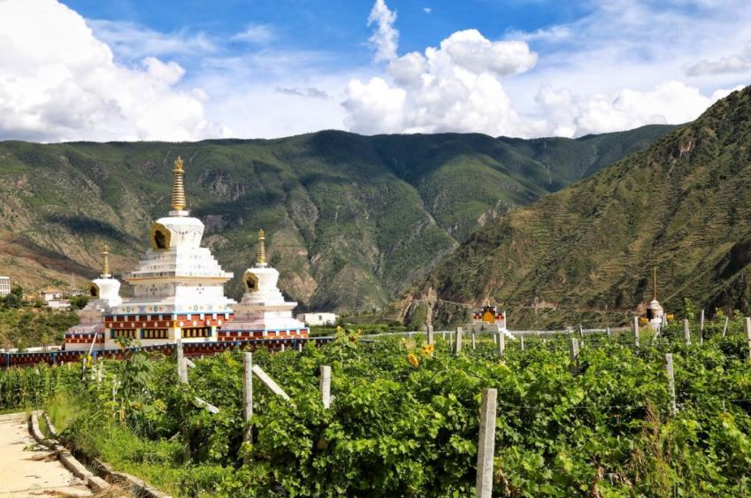 脱贫门道贫瘠土地产业支撑助推群众奔康步伐记乡城县洞松乡脱贫奔康路