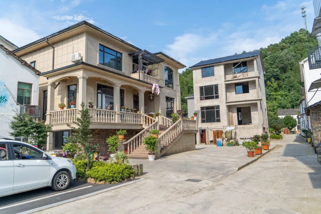 美丽庭院板桥镇板桥村多一方雅院多一份文明