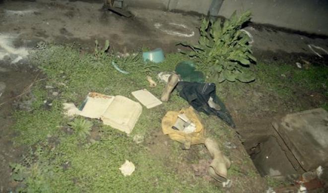 少女凋零,恶魔无踪!28年后,警方何以破案?