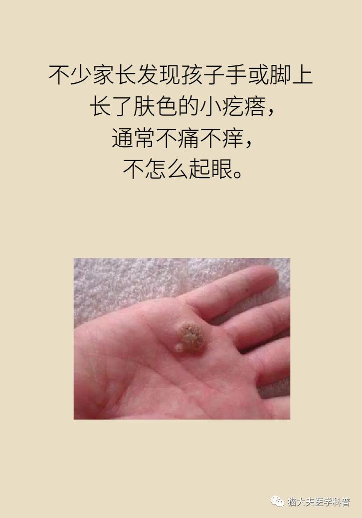 586.jpg