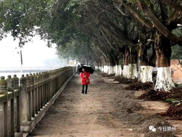 常在滨河路老西江桥,晚渡广场周边近日,看视频2020-12-15 10:15崇州市