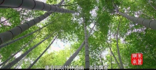陇南汽车站_陇南_陇南地震