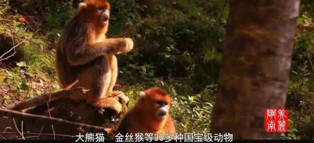 陇南_陇南汽车站_陇南地震