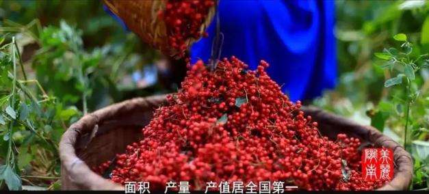 陇南_陇南汽车站_陇南地震